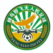 蜂鸟智飞（南通）科技有限公司